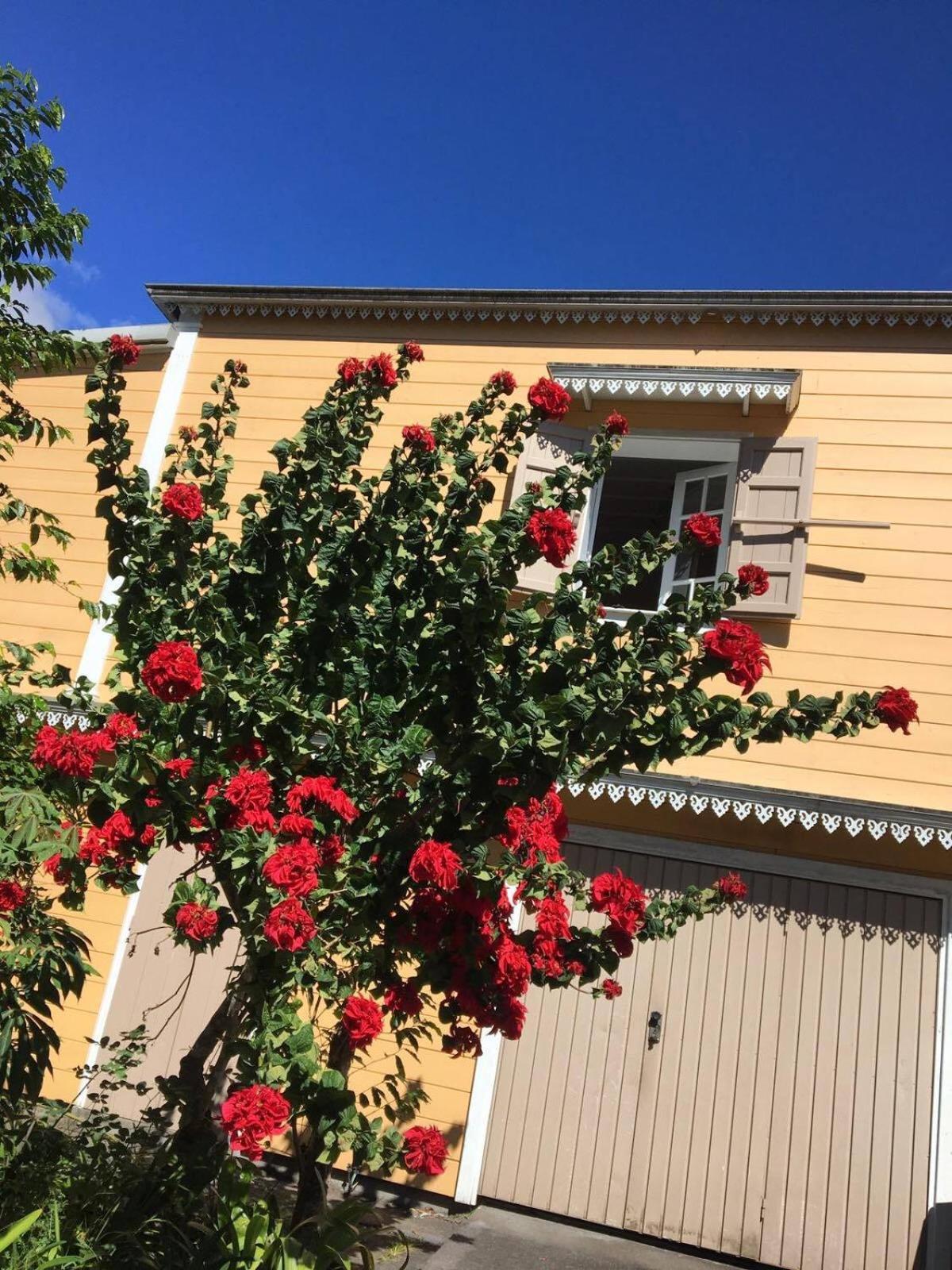 Relais Des Gouverneurs Salazie Bagian luar foto